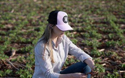 Como Mejorar la Productividad en el Campo Paraguayo.