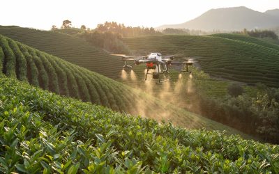 Monitoreo de Cultivos con Drones y Tecnologías de Agricultura de Precisión