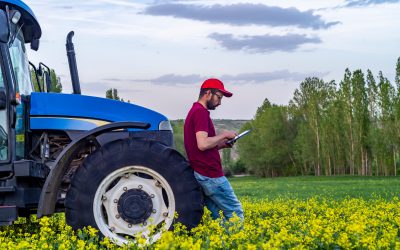 A que llamamos cultivo de canola