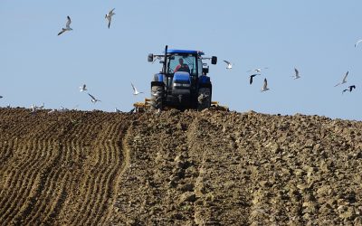 Enfrentando el Desafío de la Compactación del Suelo: Estrategias para una Agricultura Sostenible