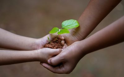 La importancia en la Agricultura Moderna: Una Guía Esencial para Agricultores