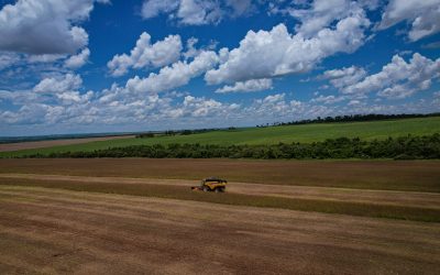 El Transformador Rol de las Máquinas Agrícolas en el Agro.