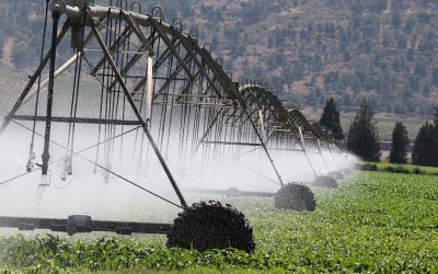Innovaciones en la Gestión del Agua para la Agricultura.
