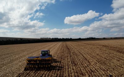 La Agroindustria y la Exportación en Paraguay:  Clave de la Economía