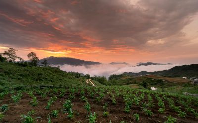 Fortaleciendo la Agricultura Paraguaya: Adaptación a los Desafíos Climáticos.